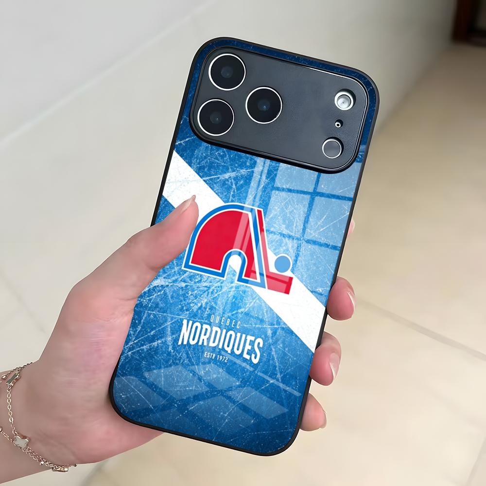 Q-QueBecES Hockey Logo Phone C - огляд і ціна Phone Cases Quebec